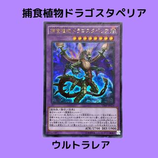 Predaplant Dragostapelia Ultra Rare