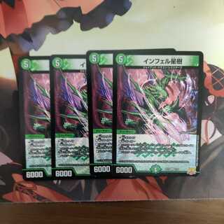 Infelix star tree (species of sedge, Infelix infertilis)