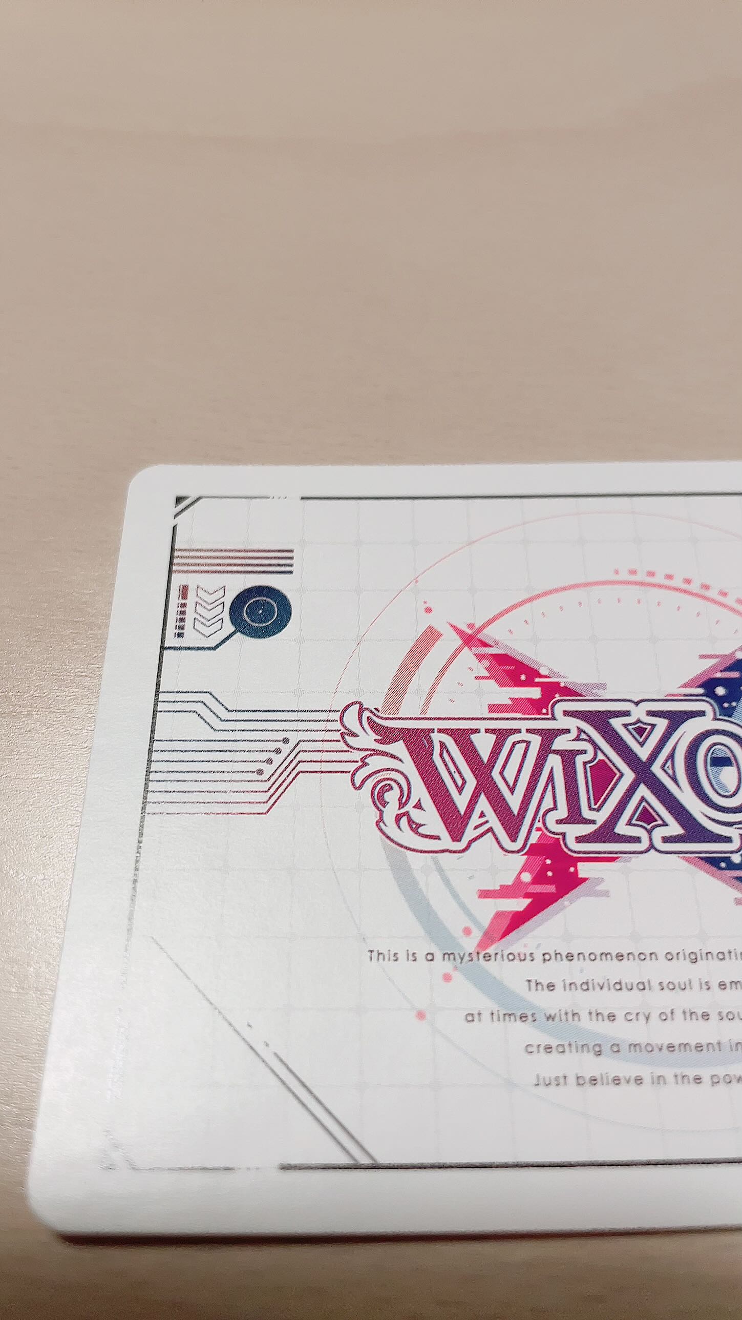 WXDi-P03-003 ＜Chotenfubu＞ Vertex Fubu