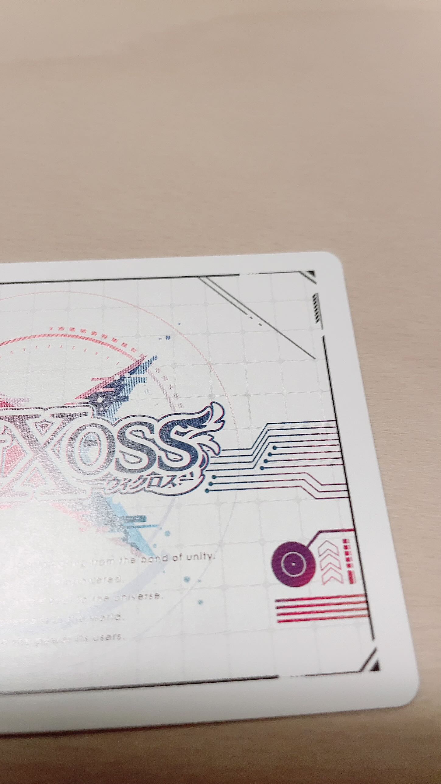 WXDi-P03-003 ＜Chotenfubu＞ Vertex Fubu