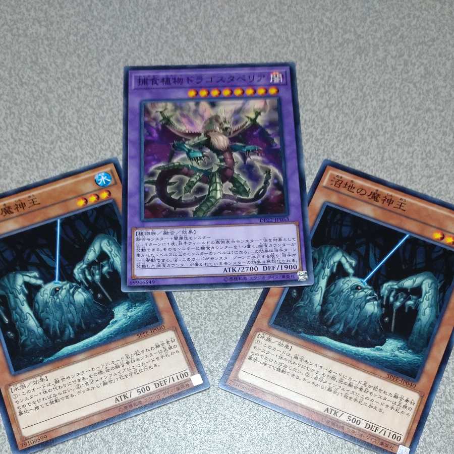 Predaplant Dragostapelia Normal