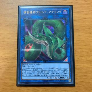 捕食植物ヴェルテ・アナコンダ