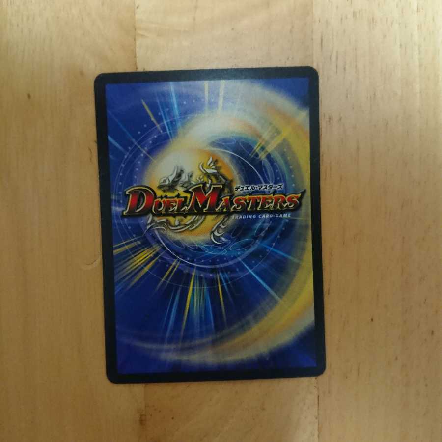 天二煌メク龍終ノ裁キ