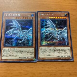 青眼の亜白龍　2枚セット