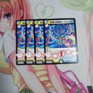 知識の精霊ロードリエス 未使用②