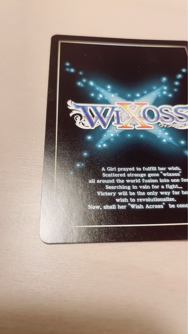 WXDi-P02-096 Servant