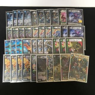 アナカラー墓地退化