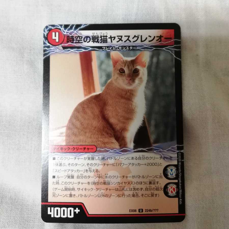 ヤヌスグレンオー シンカイヤヌス