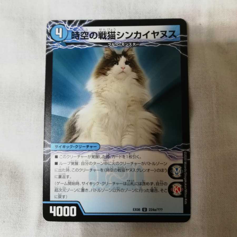 ヤヌスグレンオー シンカイヤヌス