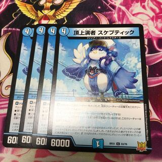 Summit performer Skeptic C RP21