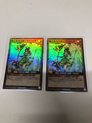 Set of 2 superb sushi angel agaribels