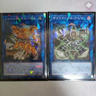 Trojan Kerberos, a set of Relinquished Anima