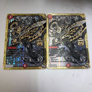 Punished and Angered" brand SE black shiku, 2 sheets