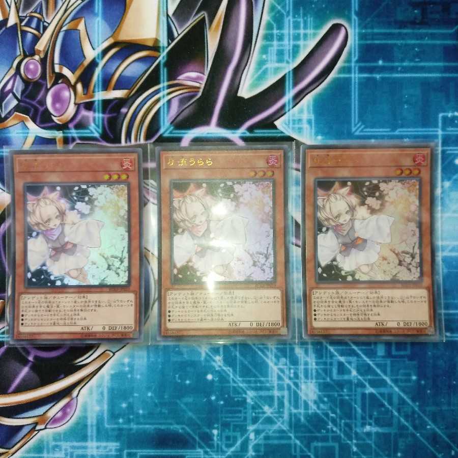 Ash Blossom & Joyous Spring Super Rare 3-card set Lowest Price