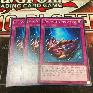 バージェストマ・オレノイデス ノーマル　3枚　特価品