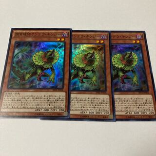 Predaplant Chlamydosundew Super Rare JP005