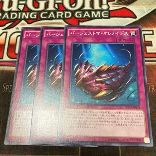 バージェストマ・オレノイデス ノーマル　3枚