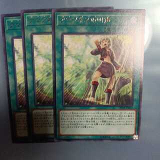 Amazoness Call Rare ☆