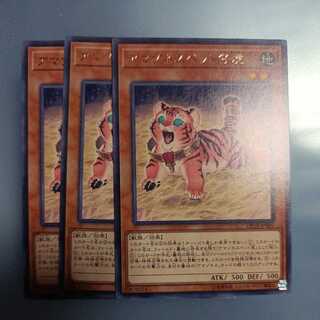 アマゾネスペット仔虎 レア　☆