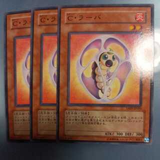 Chrysalis Larva Normal