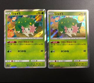 シェイミ フローラルヒール 2枚