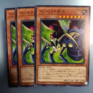 インセクト女王 ノーマル　☆