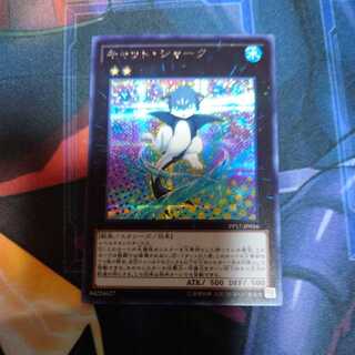 Cat Shark Secret Rare