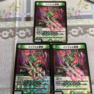 Infelix star tree (species of sedge, Infelix infertilis)