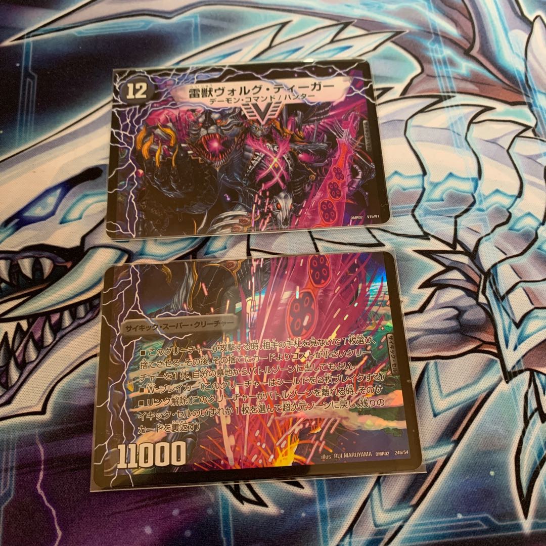 Volg Zapdos｜Lightning Beast Volg Tiger (top)