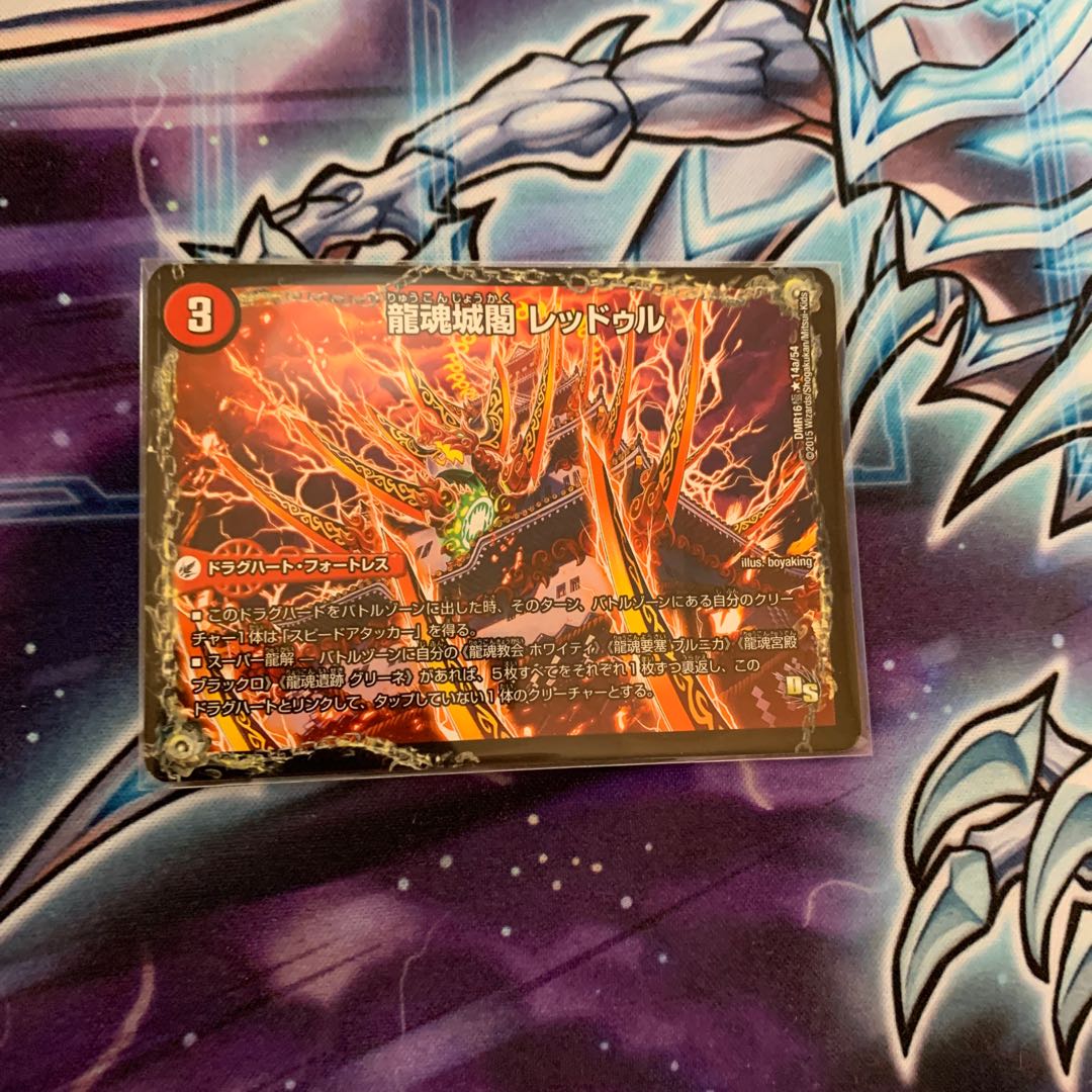 Ryukonjokaku Reduru|Kyokushin Ryukon All Over the World (bottom)