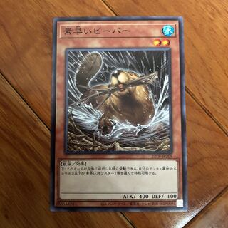 Nimble Beaver Normal 1 piece