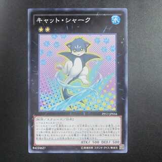 Cat Shark Normal PP17-JP016
