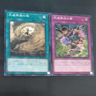 Tenwei Mukaku no Chi + Muso no Ken [Mokurindo].