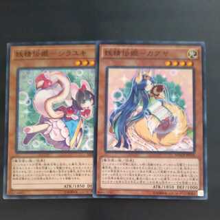 Fairy Denki Popularity 2 pieces [Korindo].