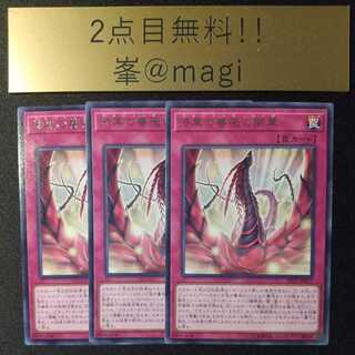 漆黒の薔薇の開華 レア