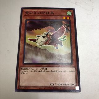 Mist Valley Baby Roc