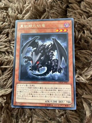 真紅眼の幼竜 レア