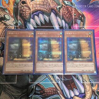 Yu-Gi-Oh Maxx "C" Secret Sik.