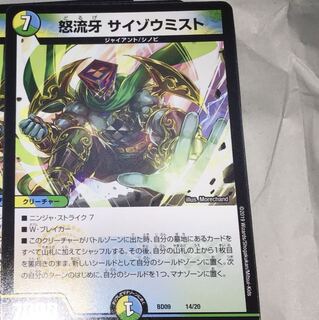 1枚 サイゾウミスト