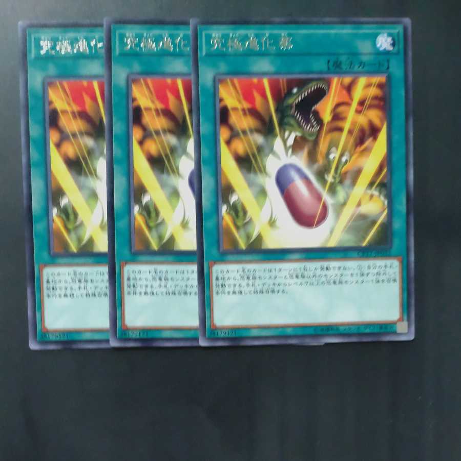 究極進化薬✕3 レア 【木林堂】