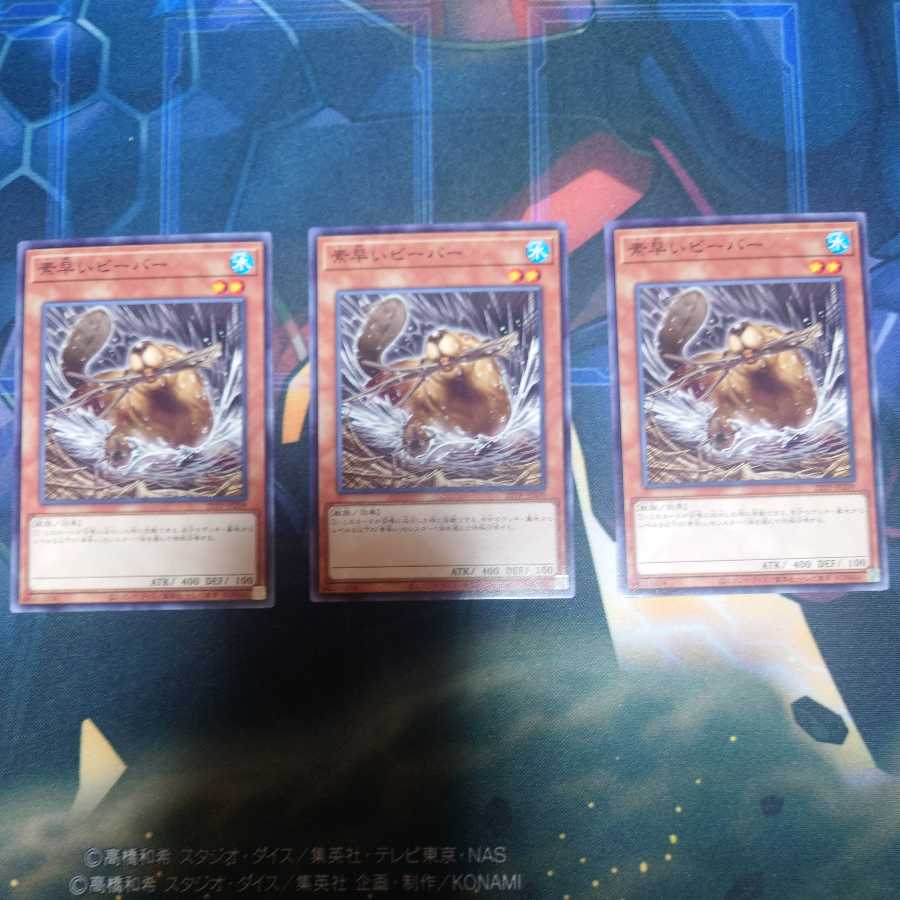 Nimble Beaver Normal