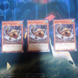 Nimble Beaver Normal