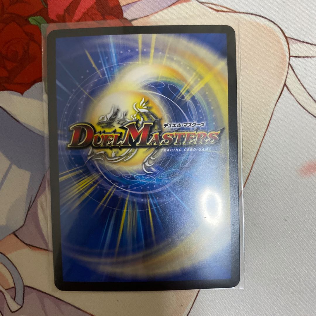 Knight of the Shield of the Absolute."