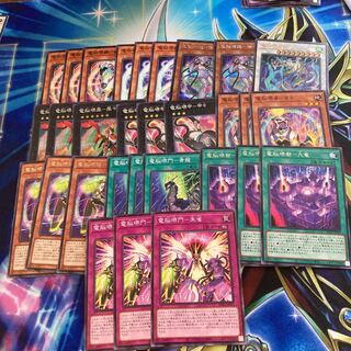 電脳堺媛-瑞々 シークレットレアセット246