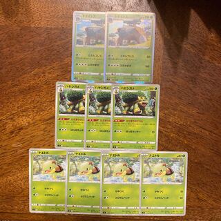 ドダイトス、ハヤシガメ、ナエトル