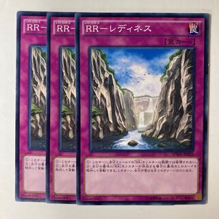 5429 RR-レディネス ノーマル JP029