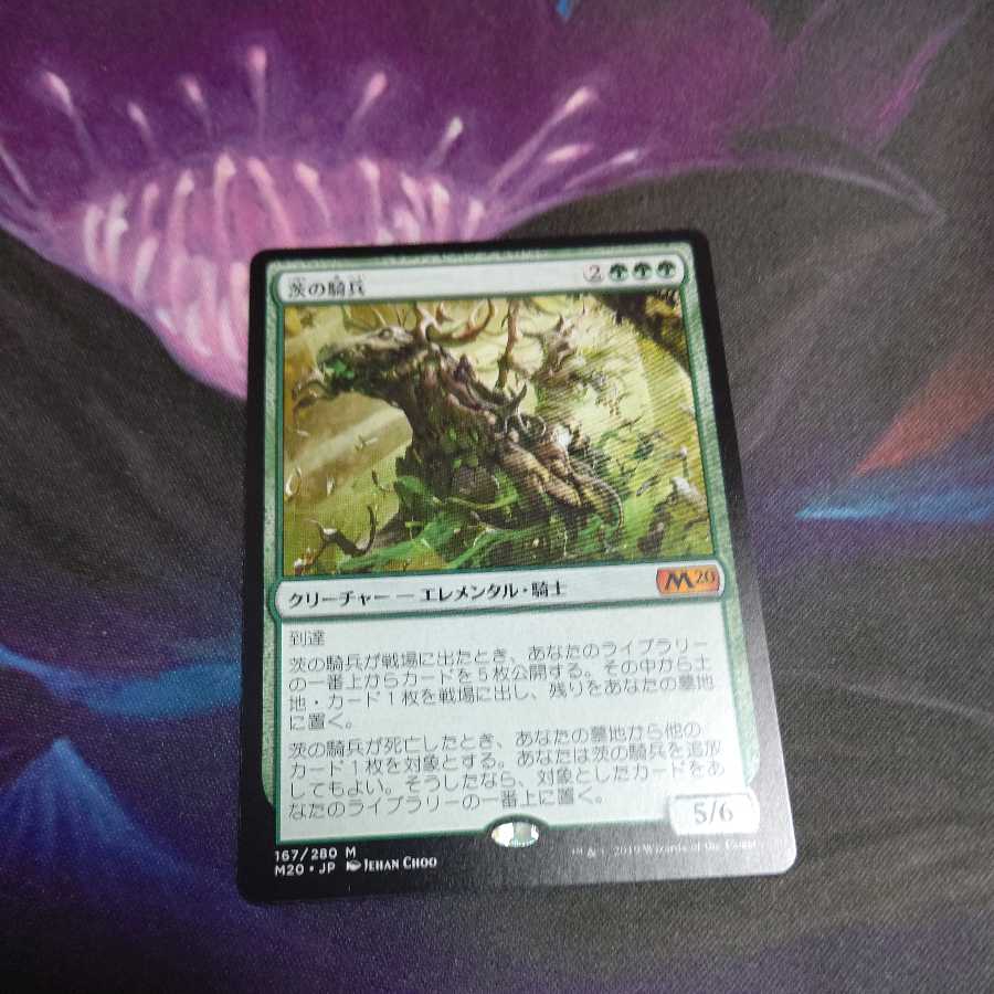 Cavalier of Thorns 1