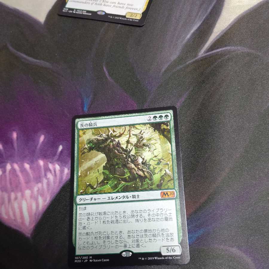 Cavalier of Thorns 2