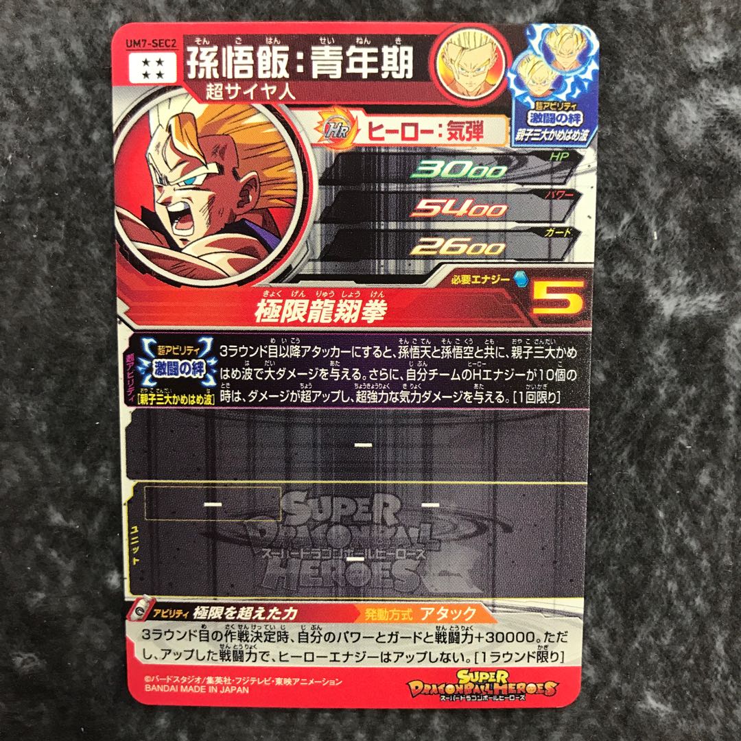 Son Gohan: Youth UM7-SEC2