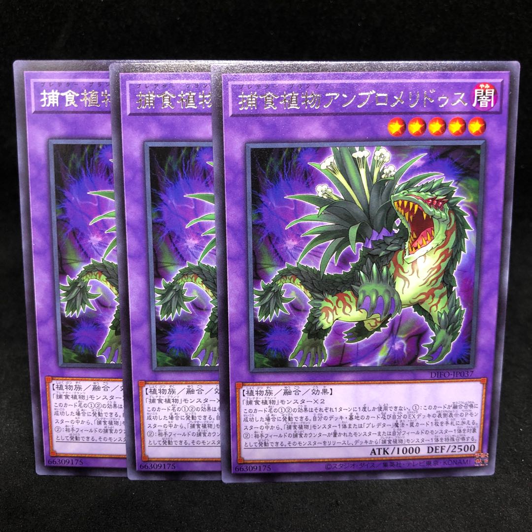 1枚30円 DIFO 捕食植物アンブロメリドゥス レア JP037